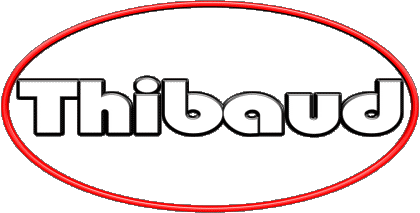 Thibaud T MASCULIN - France Prénoms 