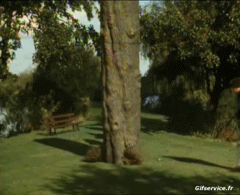 Benny Hill Vidéo Programa de TV Multimedia 