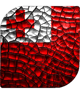 Square Tonga Oceania Flags 