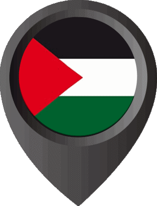 Epingle de Localisation Palestine Asie Drapeaux 