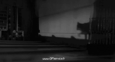 Serie 03 Chats Animaux Humour - Fun 