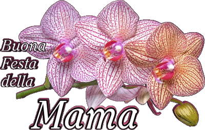 05 Buona Festa della Mamma Italian Messages 