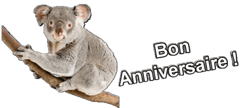 013 Animaux Bon Anniversaire Französisch Nachrichten 