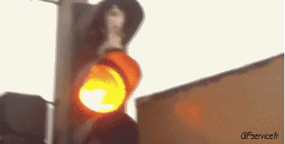 Serie 05 Chats Animaux Humour - Fun 