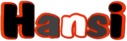 Hansi H MASCULINO - Francia Nombre 