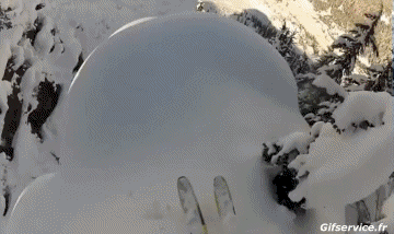 Free Ride Fun Win Ski Sport Humor -  Fun 