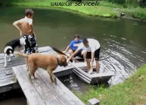 Caídas - Fail Barcos Transporte Humor - Fun 