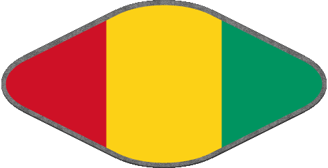 Ovale 02 Guinée Afrique Drapeaux 