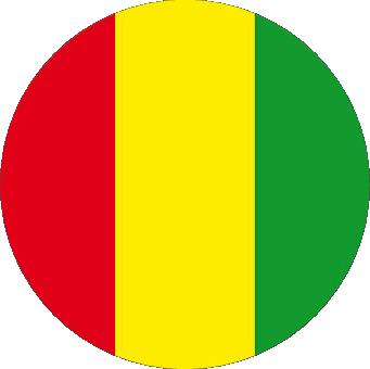 Rond Guinée Afrique Drapeaux 