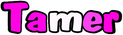 Tamer T MASCULIN - Maghreb Musulman Prénoms 