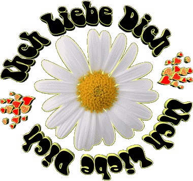 04 Ich Liebe Dich Alemán Mensajes 