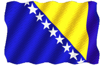 Ondulation Bosnie Herzegovine Europe Drapeaux 