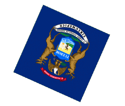 Sfera - Cubo Michigan U.S.A - Stati America Bandiere 