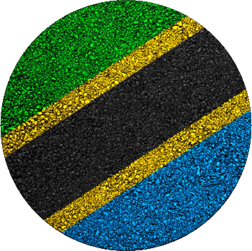 Rond Tanzania Africa Flags 
