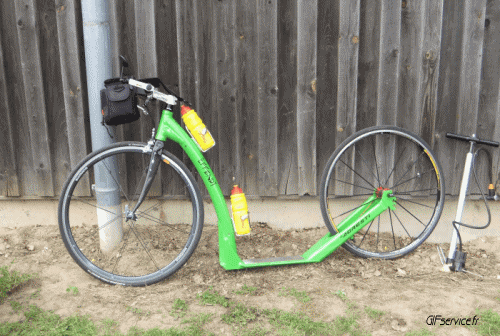 Stéreoscopique Wiggle Effetti 3d Umorismo -  Fun 