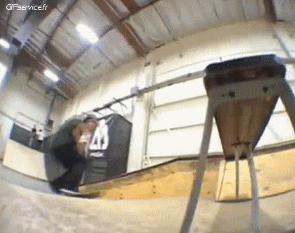 Free Style Fun - Win 01 Skateboard Sportivo Umorismo -  Fun 