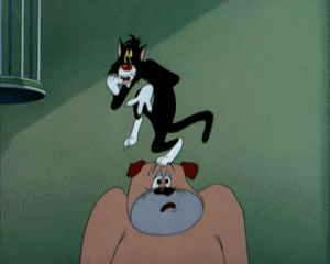 The Counterfeit Cat Tex Avery Dibujos animados TV Peliculas Multimedia 