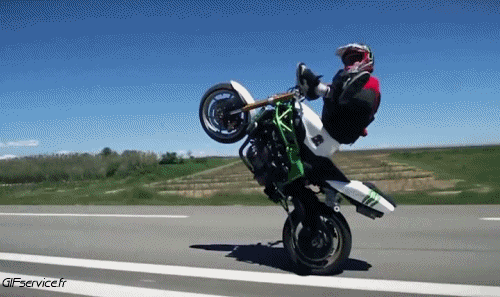 Freestyle Fun Win Motocicletas Transporte Humor - Fun 