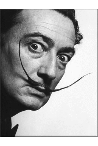 Salvador Dali Artists Painter Humor -  Fun 