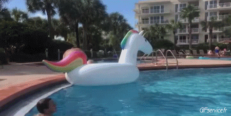 Fallire Piscina PERSONE Umorismo -  Fun 