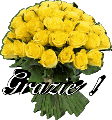 007 Grazie Italien Messages 