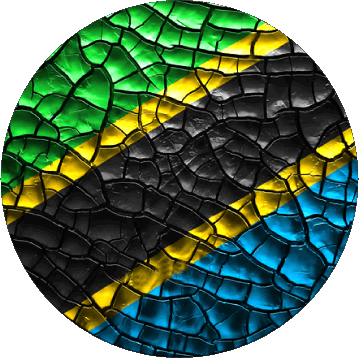Rond Tanzania Africa Bandiere 