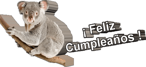 013 Animales Feliz Cumpleaños Espagnol Messages 