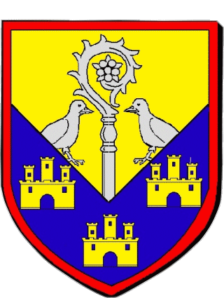 Blasón-Blasón SAINT BENOIT 86 Departamentos - Ciudades Francia Banderas 