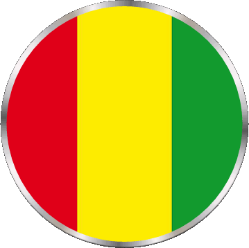 Rond Guinée Afrique Drapeaux 