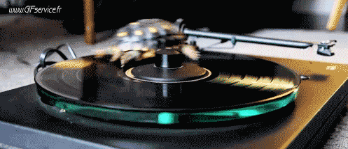 Serie 01 Tortues Animaux Humour - Fun 