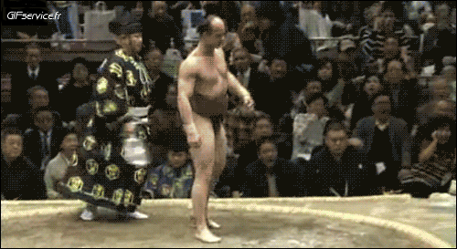 Sumo Sports Humour - Fun 