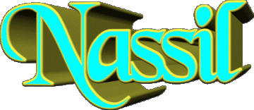 Nassil N MANN - Maghreb Muslim Vorname 