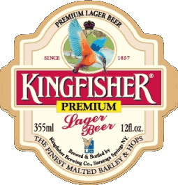 Kingfisher India Beers Drinks 