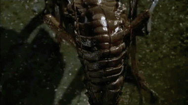 Men in Black Men in Black Películas Internacional Multimedia 