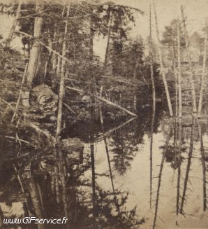 Stéreoscopique Wiggle 3d Effects Humor -  Fun 