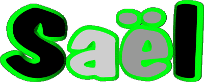 Saël S MASCULIN - France Prénoms 