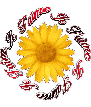 03 Je T'aime French Messages 