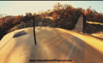 Fun - Win Roller Skate Sports Humour - Fun 