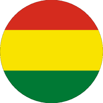 Divers Bolivie Amériques Drapeaux 