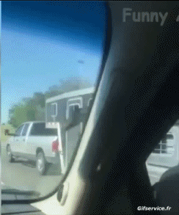 Serie 01 Chevaux Animaux Humour - Fun 