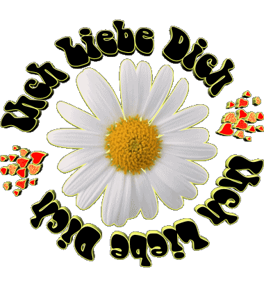 04 Ich Liebe Dich Allemand Messages 