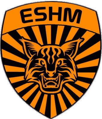 ES de la Haute Meurthe 88 - Vosges Grand Est Fußballvereine Frankreich Sport 