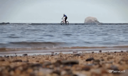 Fun - Win Bicicleta de montaña Deportes Humor - Fun 