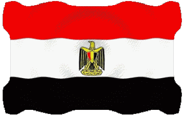 Waving Egypt Africa Flags 