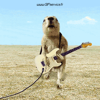 Serie 01 Ecureuils Animaux Humour - Fun 