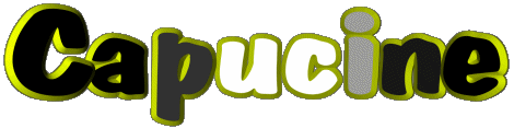 Capucine C FEMININ - France Prénoms 