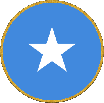Rond Somalie Afrique Drapeaux 