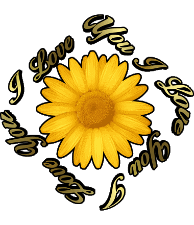 02 I Love You Anglais Messages 