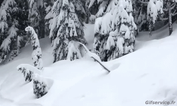 Free Ride Fun Win Ski Sports Humour - Fun 