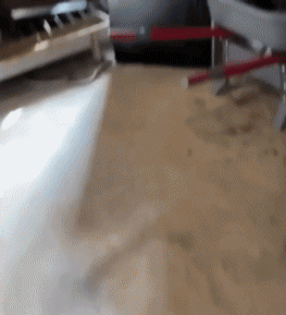 Coqs - Poules Oiseaux Animaux Humour - Fun 